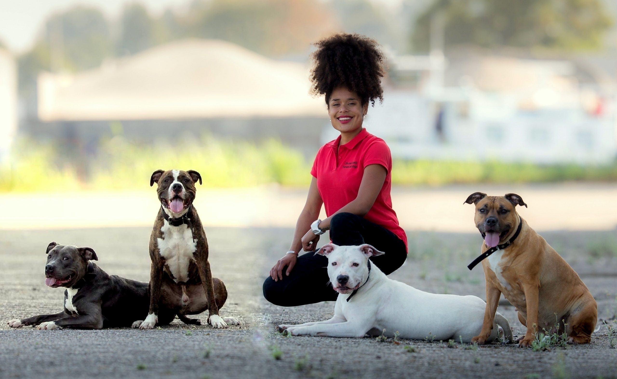 Life coach Leidy - Humans and dogs