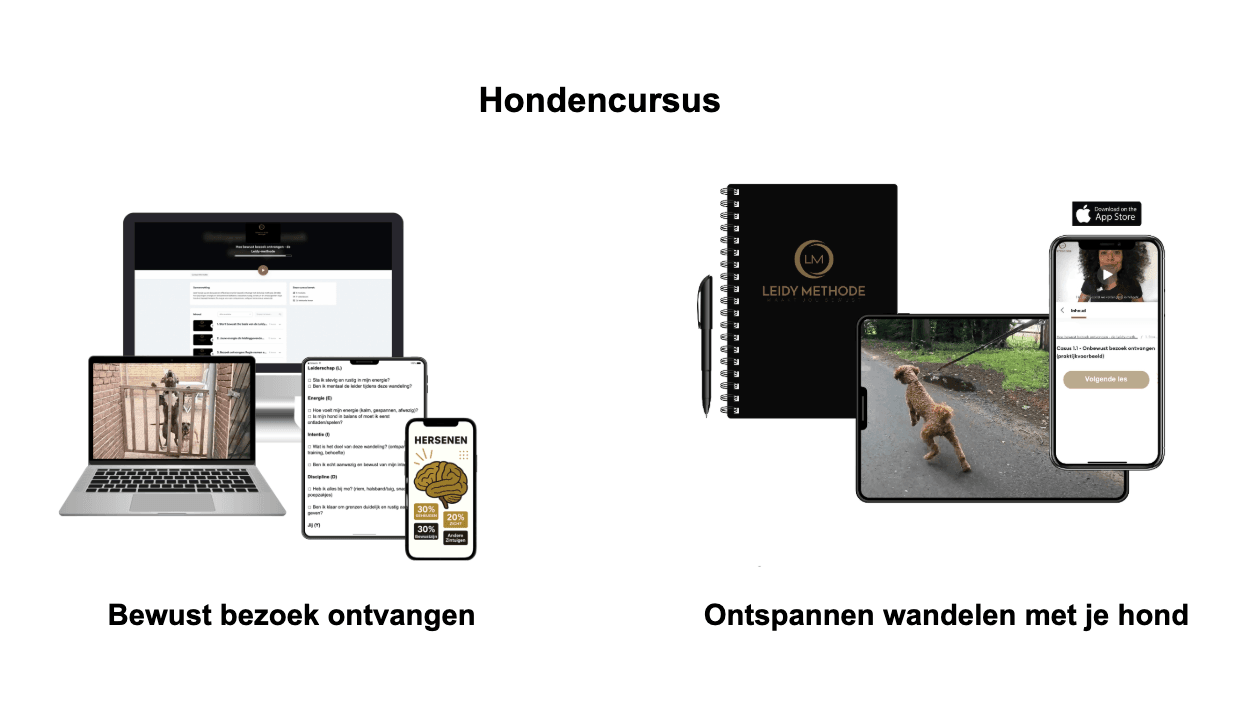 Online-hondencoach-cursus