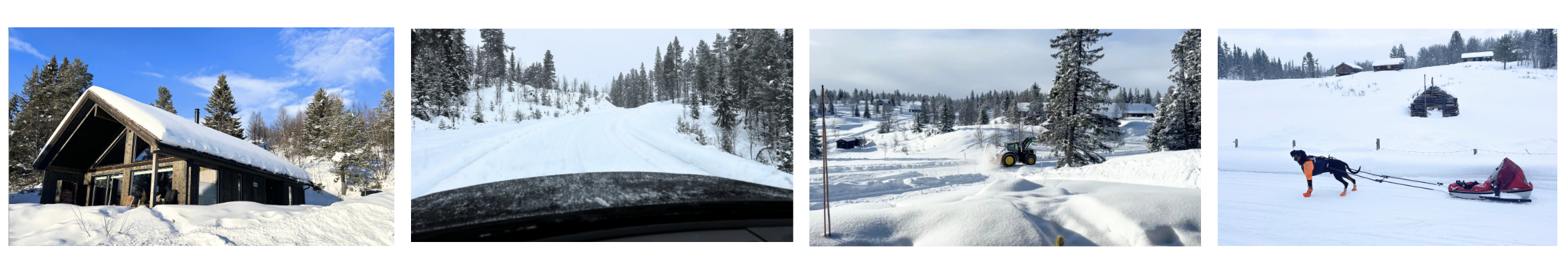 Noorwegen met je hond in de bergen Noorwegen met je hond in de bergen