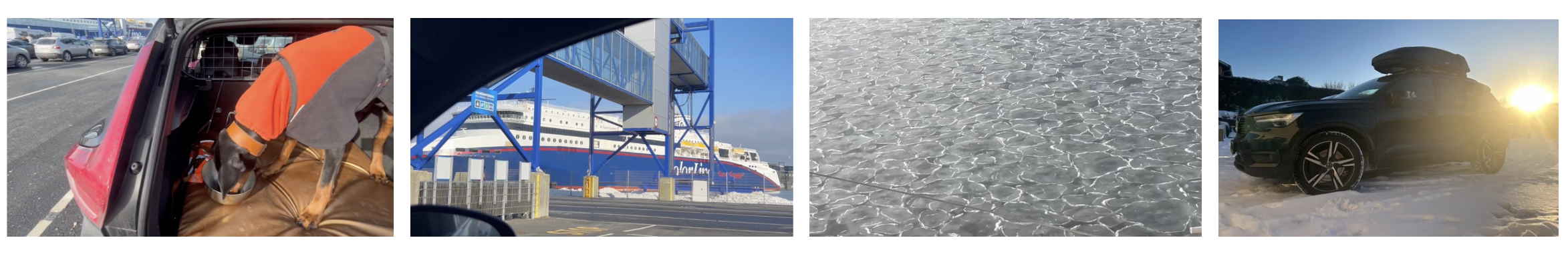 Noorwegen met je hond in de bergen Noorwegen met je hond in de bergen