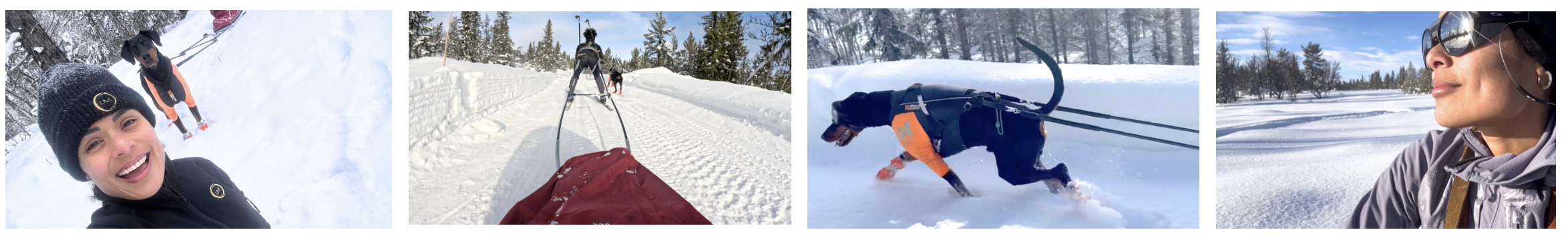 Noorwegen met je hond in de bergen Noorwegen met je hond in de bergen