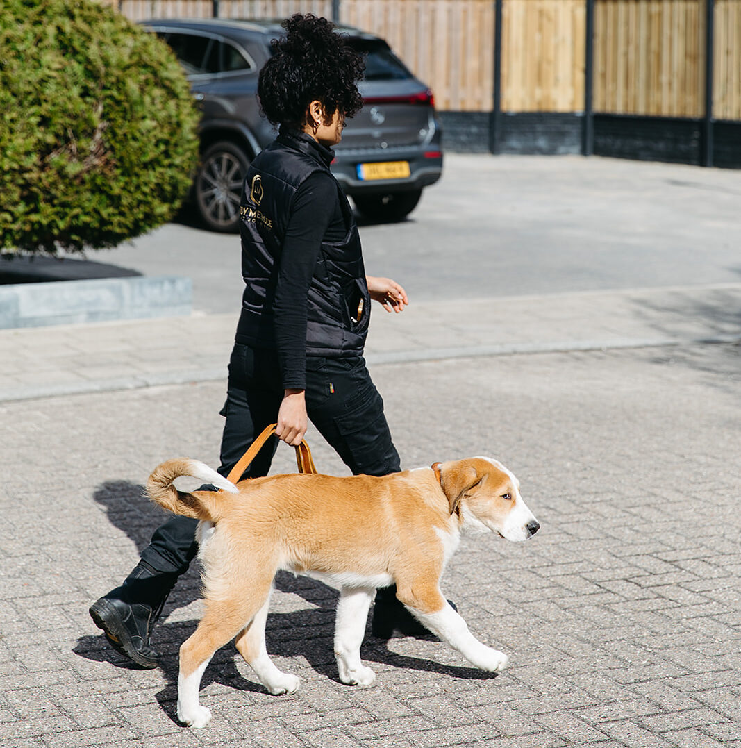puppycursus-leidy-methode
