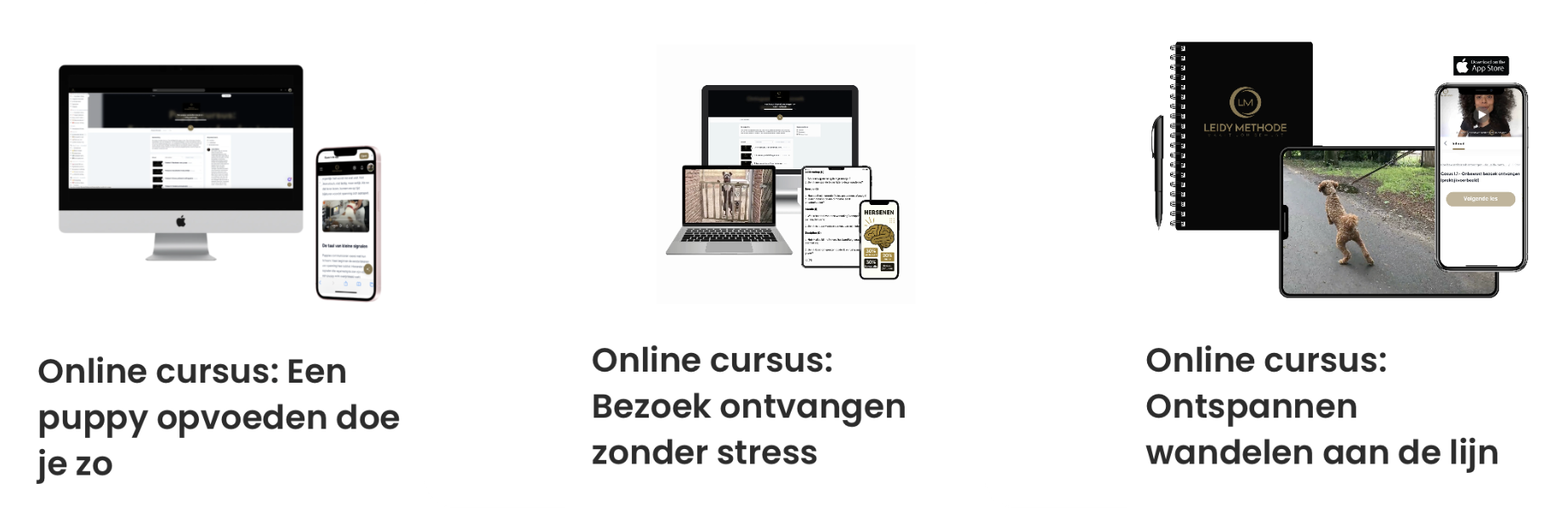 Online-hondencursus