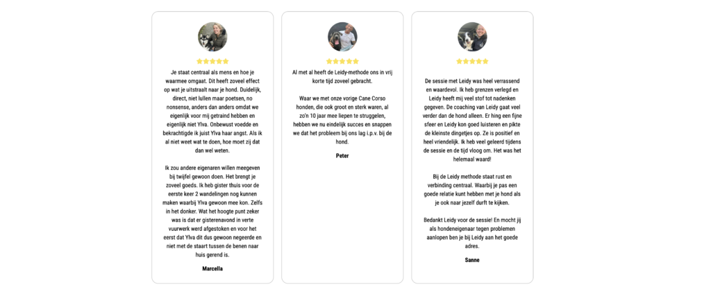 Hondencoach Apeldoorn-privé-begeleiding-voor-jou-en-je-hond