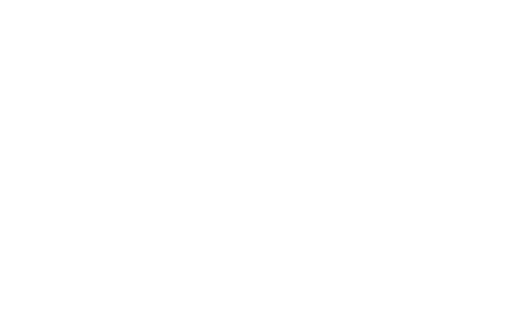 Leidy Methode