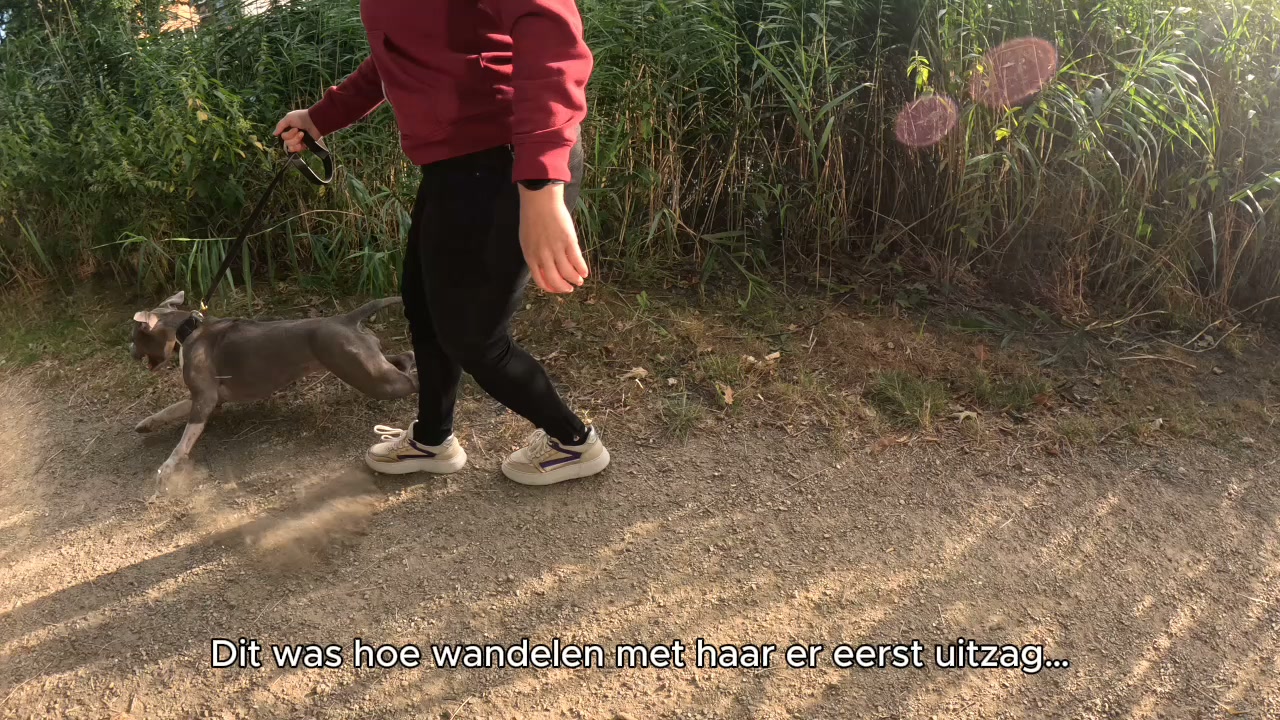 Maurice en Fleur met hun Amerikaanse Stafford Luna