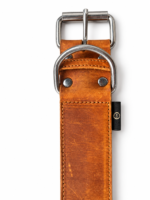 Cognac leren halsband met zilverkleurige gesp en D-ring op witte achtergrond