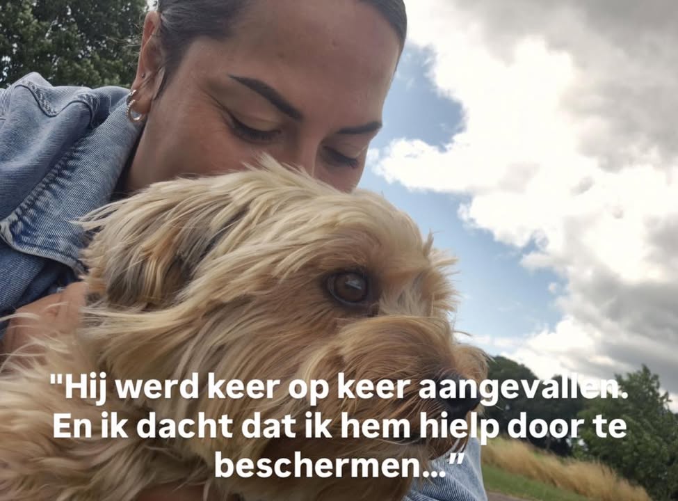 Yoshi na begeleiding bij Life Coach Leidy